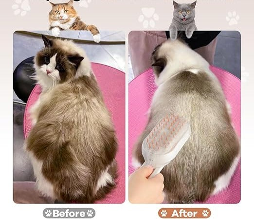 Cat & Dog Steamy Brush