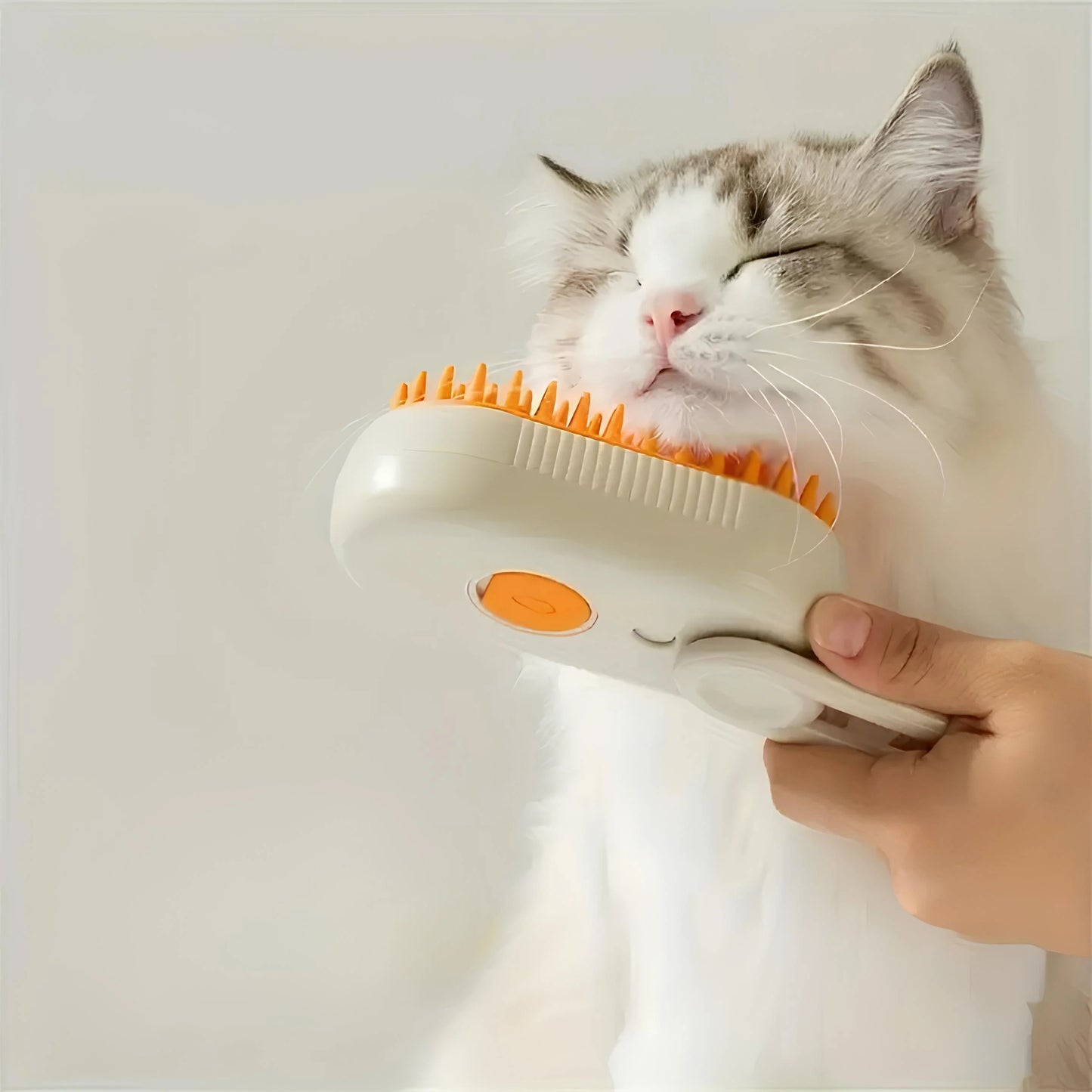 Cat & Dog Steamy Brush
